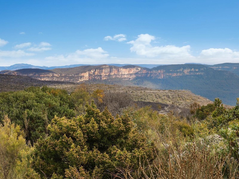 201 Tableland Road, Wentworth Falls NSW 2782