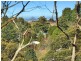 Lot 14, 4 Miles Avenue, Katoomba NSW 2780