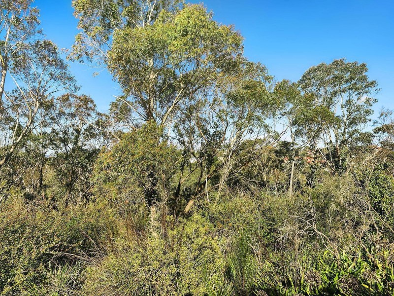 Lot 14, 4 Miles Avenue, Katoomba NSW 2780