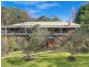 40 Hill Street, Wentworth Falls NSW 2782