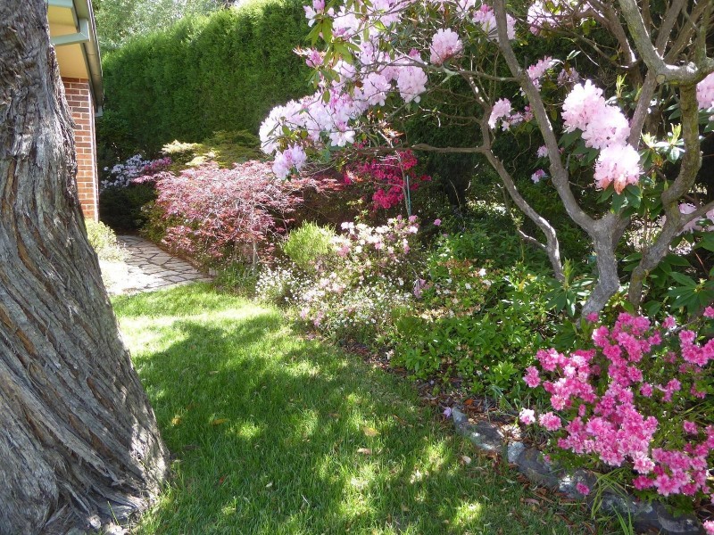 2 Panorama Crescent, Wentworth Falls NSW 2782