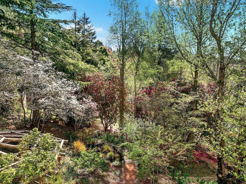 9 Angel Street, Wentworth Falls NSW 2782