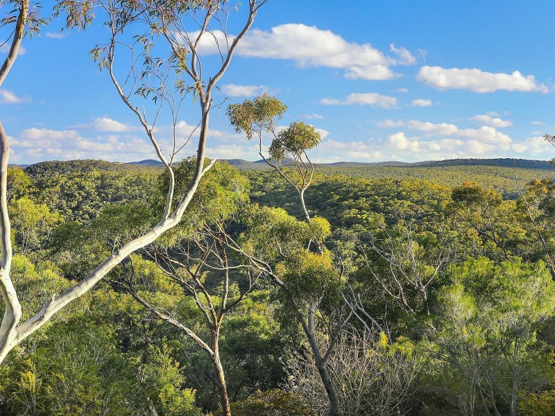 1 Careya Crescent, Woodford NSW 2778