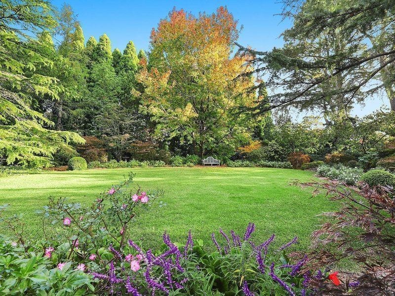 41 Toulon Avenue, Wentworth Falls NSW 2782