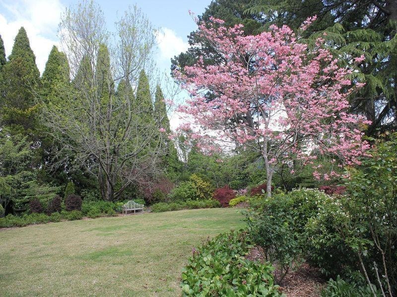 41 Toulon Avenue, Wentworth Falls NSW 2782