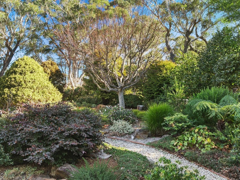 237 Cliff Drive, Katoomba NSW 2780
