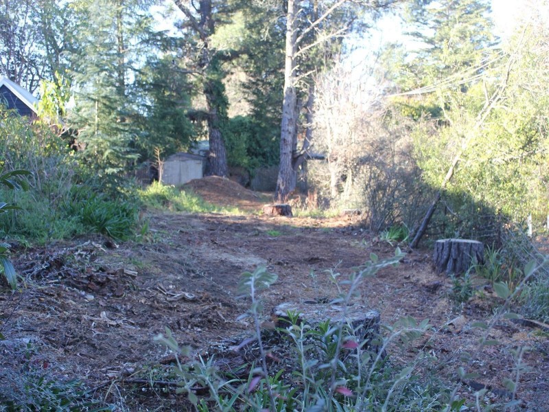 9 Inconstant Street, Blackheath NSW 2785