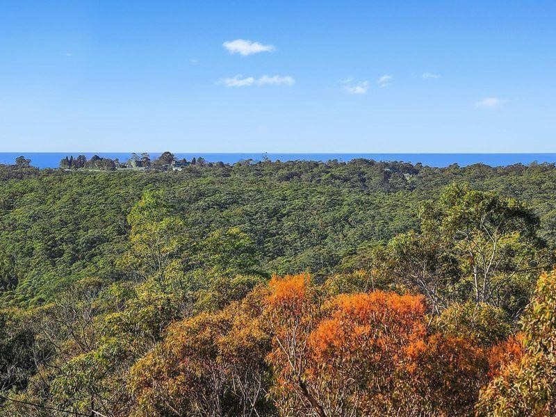 16 Wood Street, Wentworth Falls NSW 2782