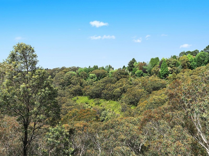 49 Henderson Road, Wentworth Falls NSW 2782