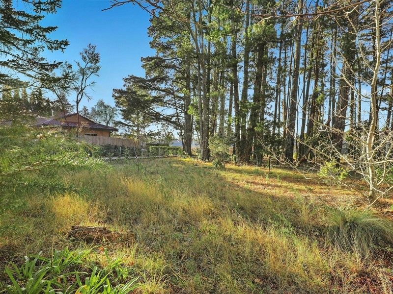 68 Waratah Road, Wentworth Falls NSW 2782