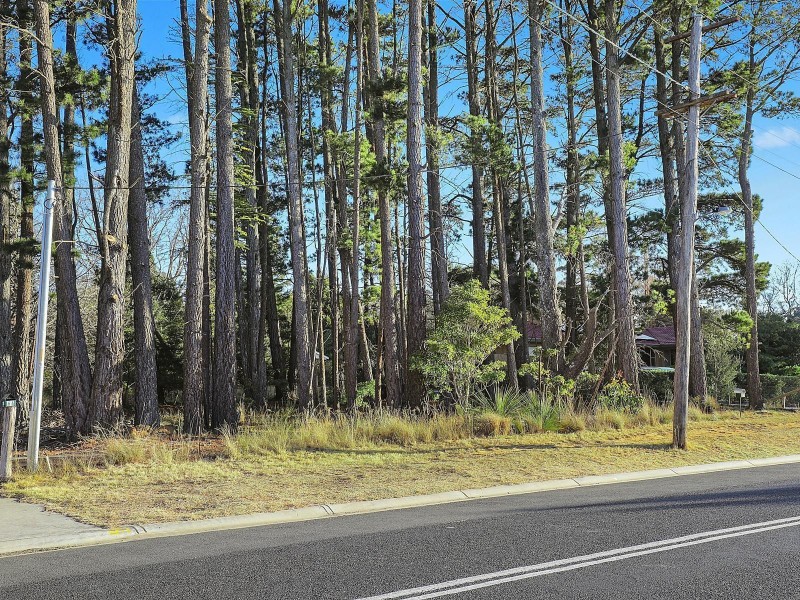 68 Waratah Road, Wentworth Falls NSW 2782