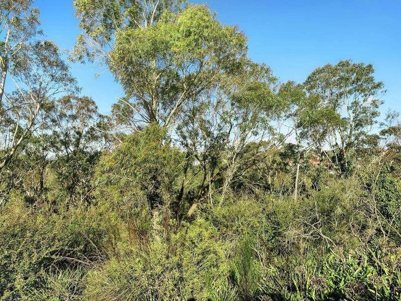 4 Miles Avenue, Katoomba NSW 2780