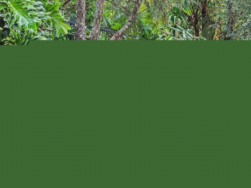 4 Talbot Road, Hazelbrook NSW 2779