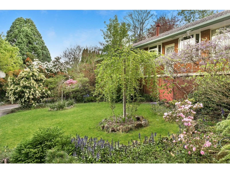 97 Blaxland Road, Wentworth Falls NSW 2782