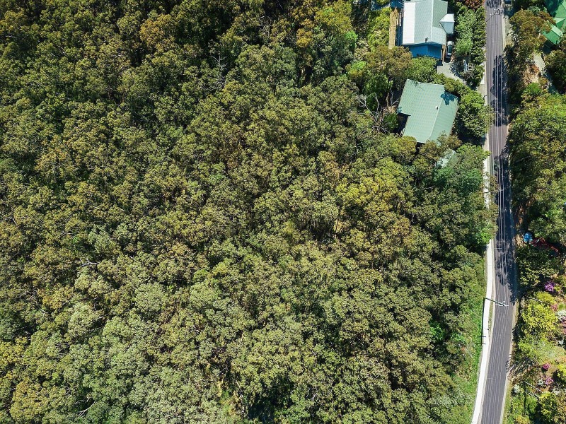 66-68 Henderson Road, Wentworth Falls NSW 2782