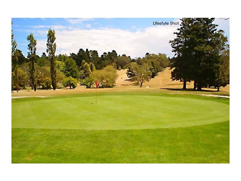 8 Wood Street, Wentworth Falls NSW 2782