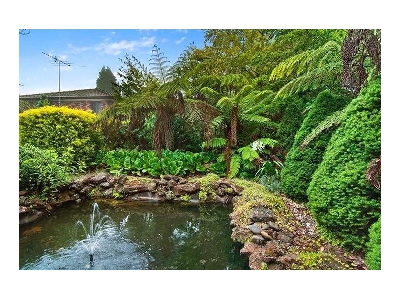 12 Erica Road, Wentworth Falls NSW 2782