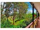 30 Livingstone Road, Port Macquarie NSW 2444