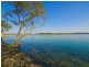 The Cove Estate, River Park Road, Port Macquarie NSW 2444