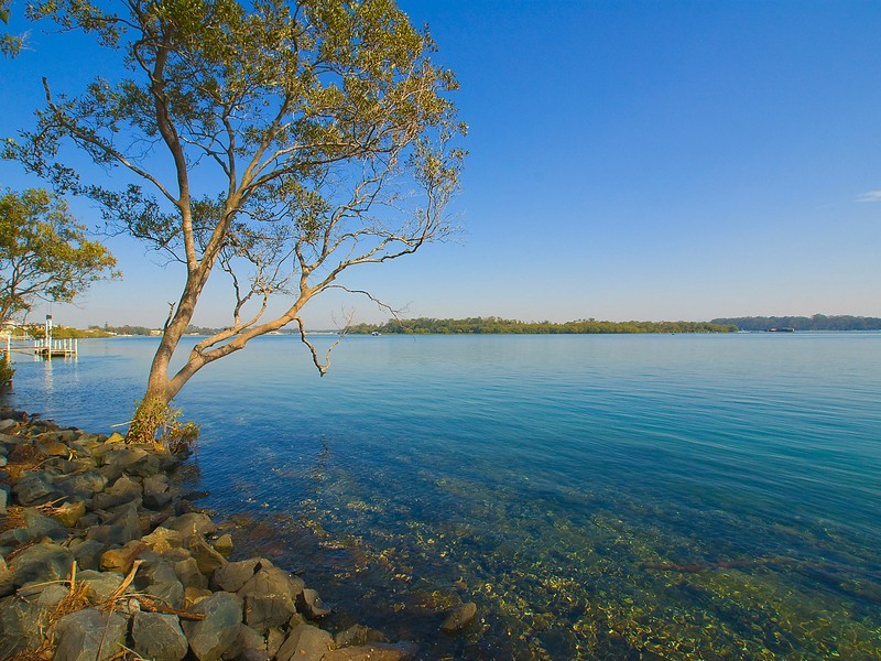 The Cove Estate, River Park Road, Port Macquarie NSW 2444