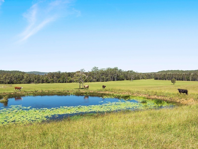 130 Apanie Road, Lake Innes NSW 2446