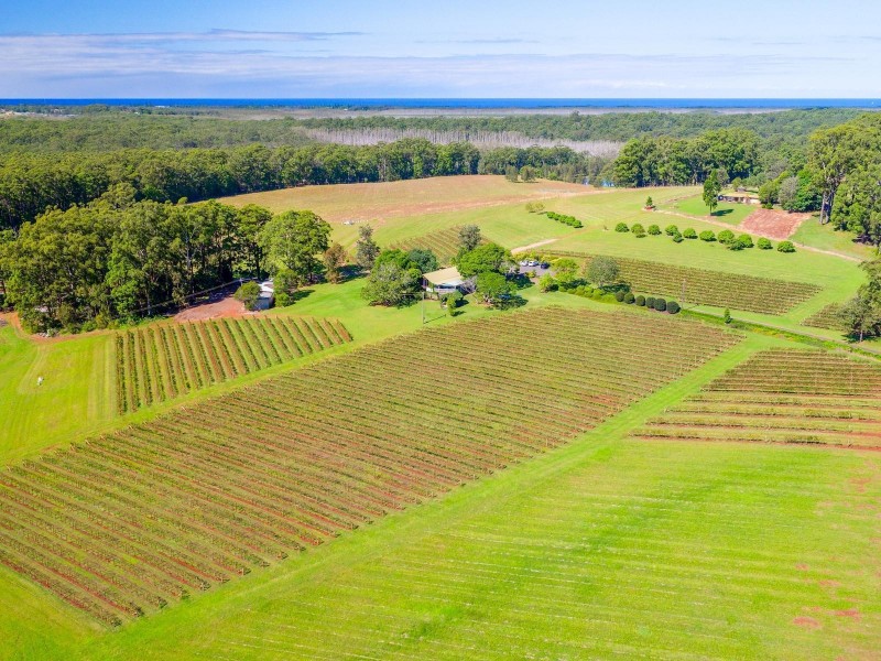 205 The Ruins Way, Port Macquarie NSW 2444