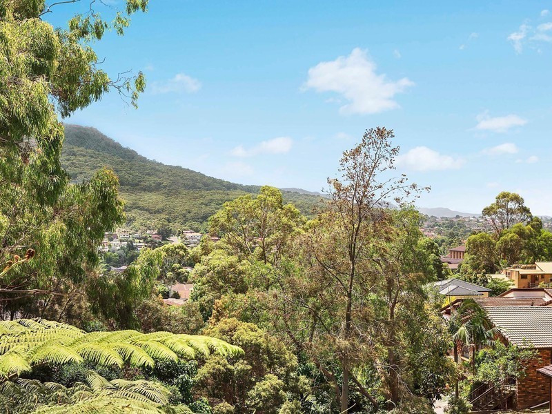 56 New Mount Pleasant Road, Mount Pleasant NSW 2519