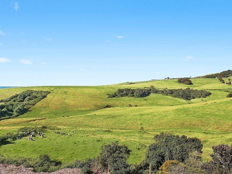 38 Anembo Crescent, Kiama Heights NSW 2533