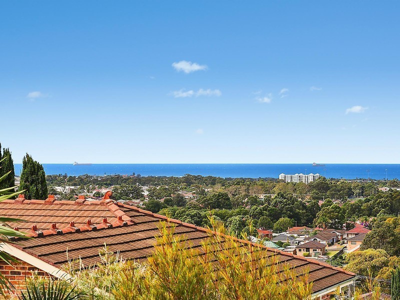 14 Peace Crescent, Balgownie NSW 2519