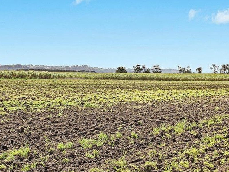 Lot 10 Patches Beach Road, South Ballina NSW 2478