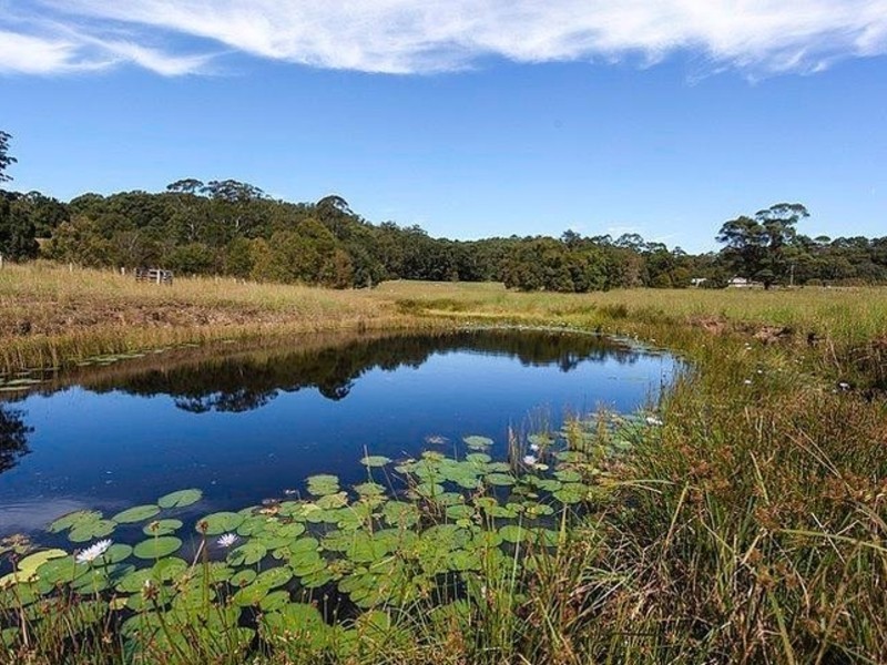 873 Wardell Road, Meerschaum Vale NSW 2477