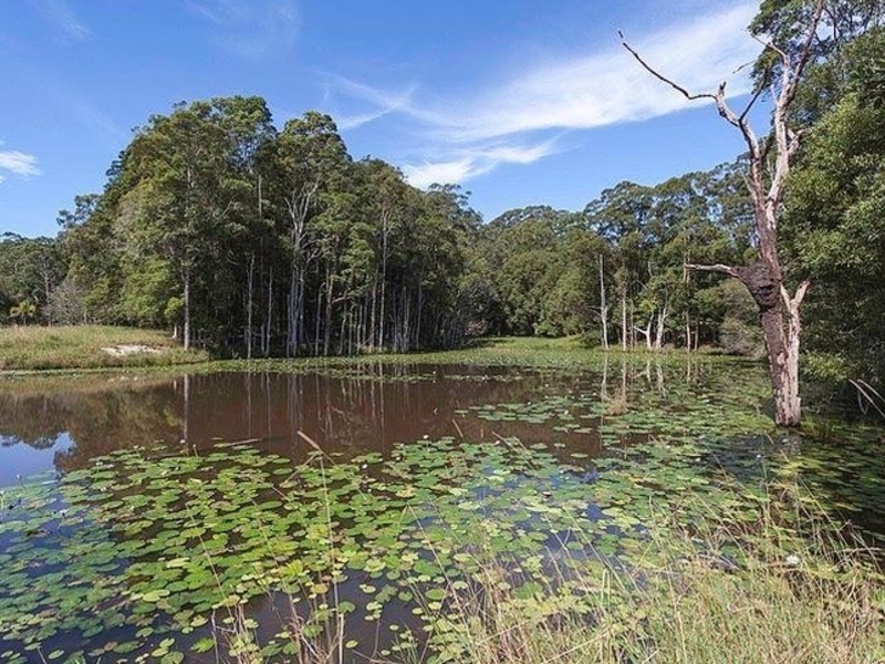 873 Wardell Road, Meerschaum Vale NSW 2477