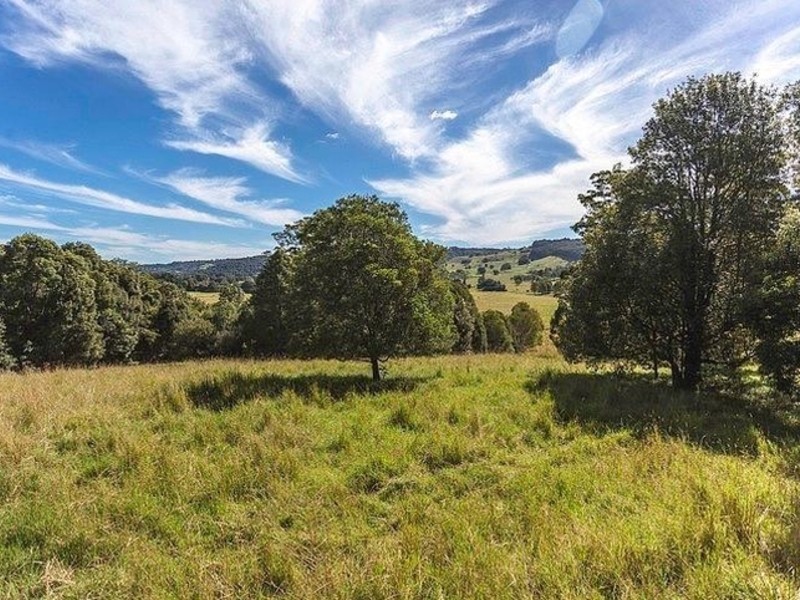 873 Wardell Road, Meerschaum Vale NSW 2477