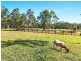 590 Bagotville Road, Meerschaum Vale NSW 2477