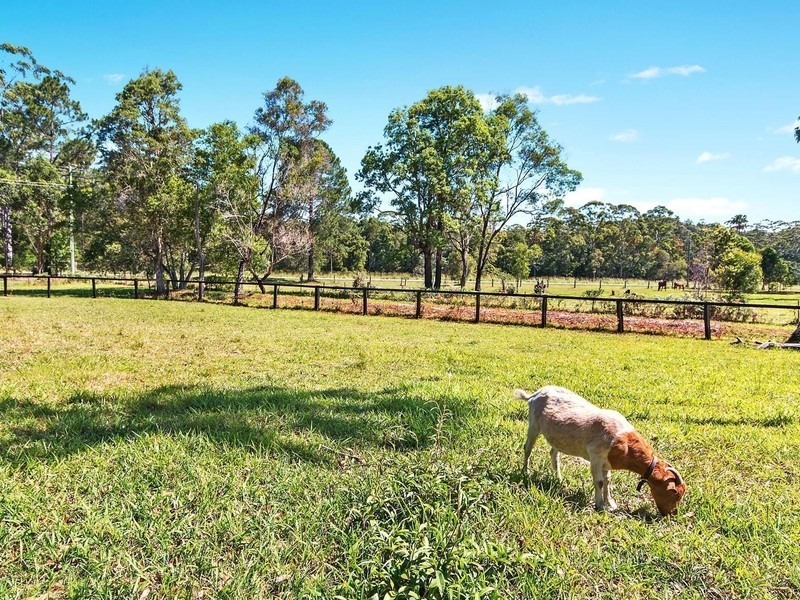 590 Bagotville Road, Meerschaum Vale NSW 2477