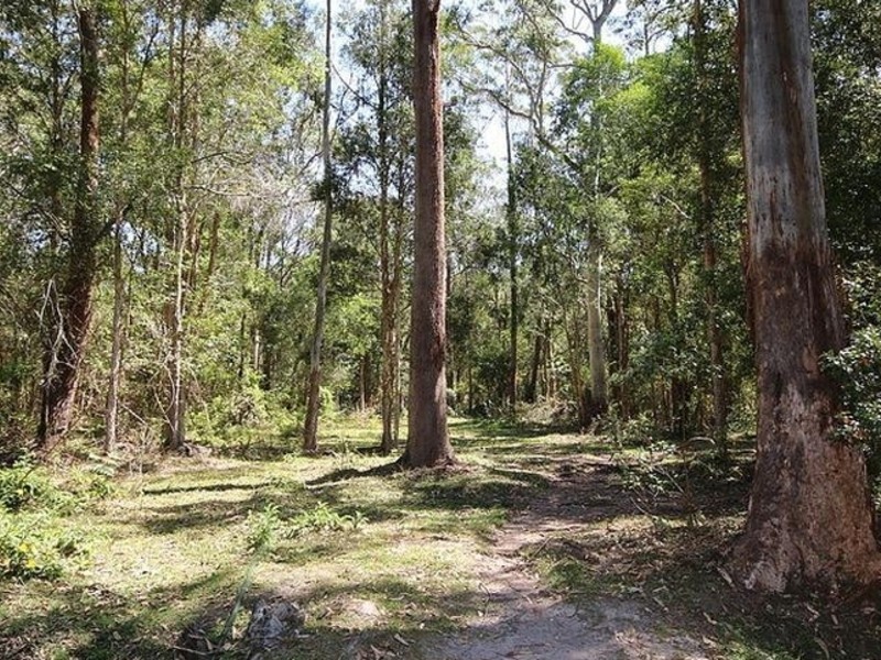 590 The Gap Road, Woodburn NSW 2472