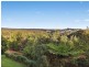 22 Unara Parkway, Cumbalum NSW 2478