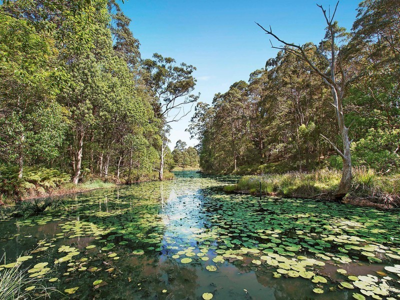 49 Platypus Drive, Uralba NSW 2477