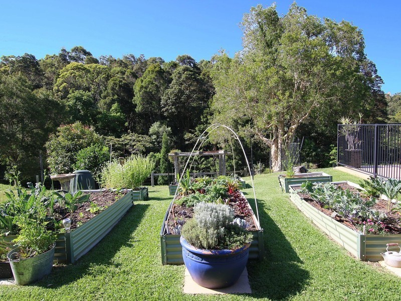 49 Platypus Drive, Uralba NSW 2477