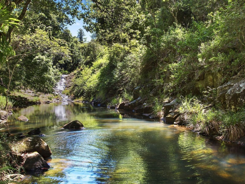 460 Marom Creek Road, Meerschaum Vale NSW 2477