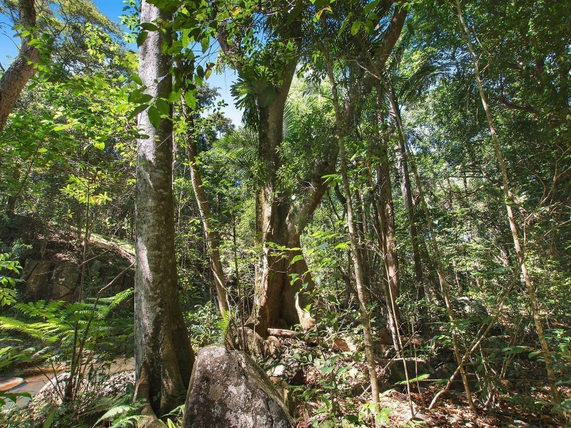 460 Marom Creek Road, Meerschaum Vale NSW 2477