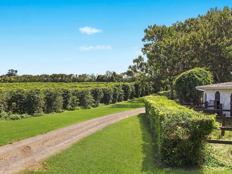 185 Cooks Lane, Dalwood NSW 2477