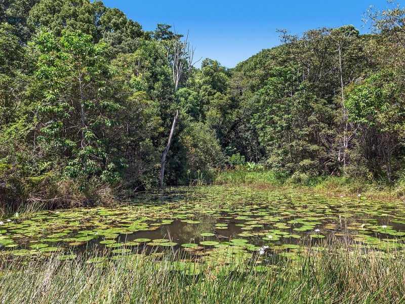 Lot 164 Leadbeatters Lane, Alstonville NSW 2477