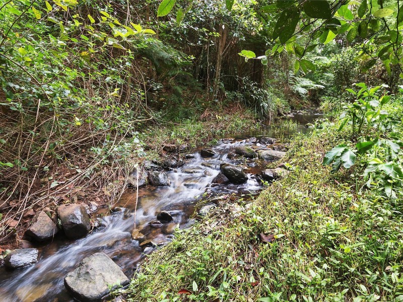 431 Hinterland Way, Knockrow NSW 2479