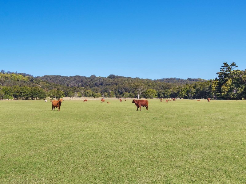 142 Bartletts Lane, Meerschaum Vale NSW 2477