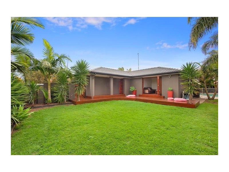 17 Razorbill Street, Burleigh Waters QLD 4220