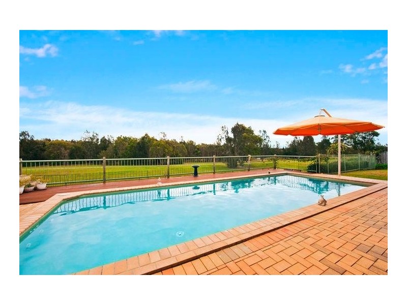 17 Tussock Crescent, Elanora QLD 4221