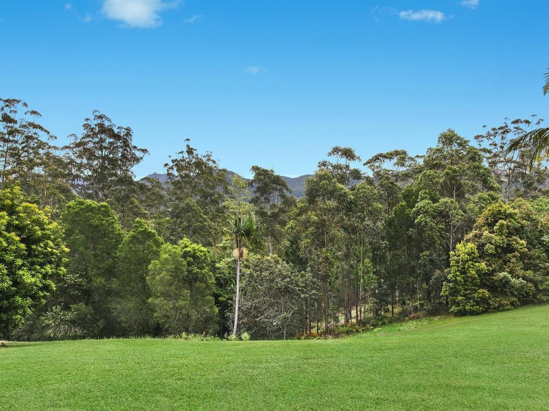 1175 Tallebudgera Creek Road, Tallebudgera Valley QLD 4228