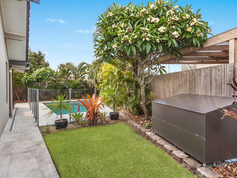17 Satinwood Place, Palm Beach QLD 4221