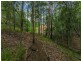 5 Buckingham Way, Elanora QLD 4221